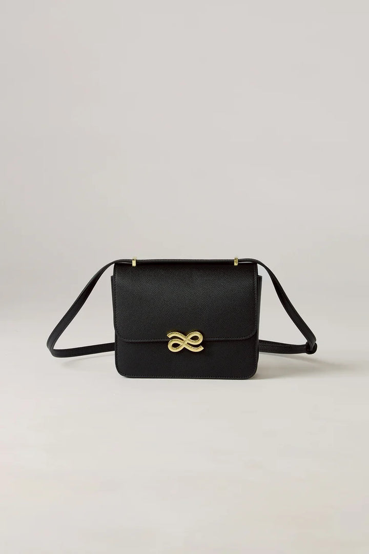 NEW TIMELESSNESS (BLOOM) PU 22